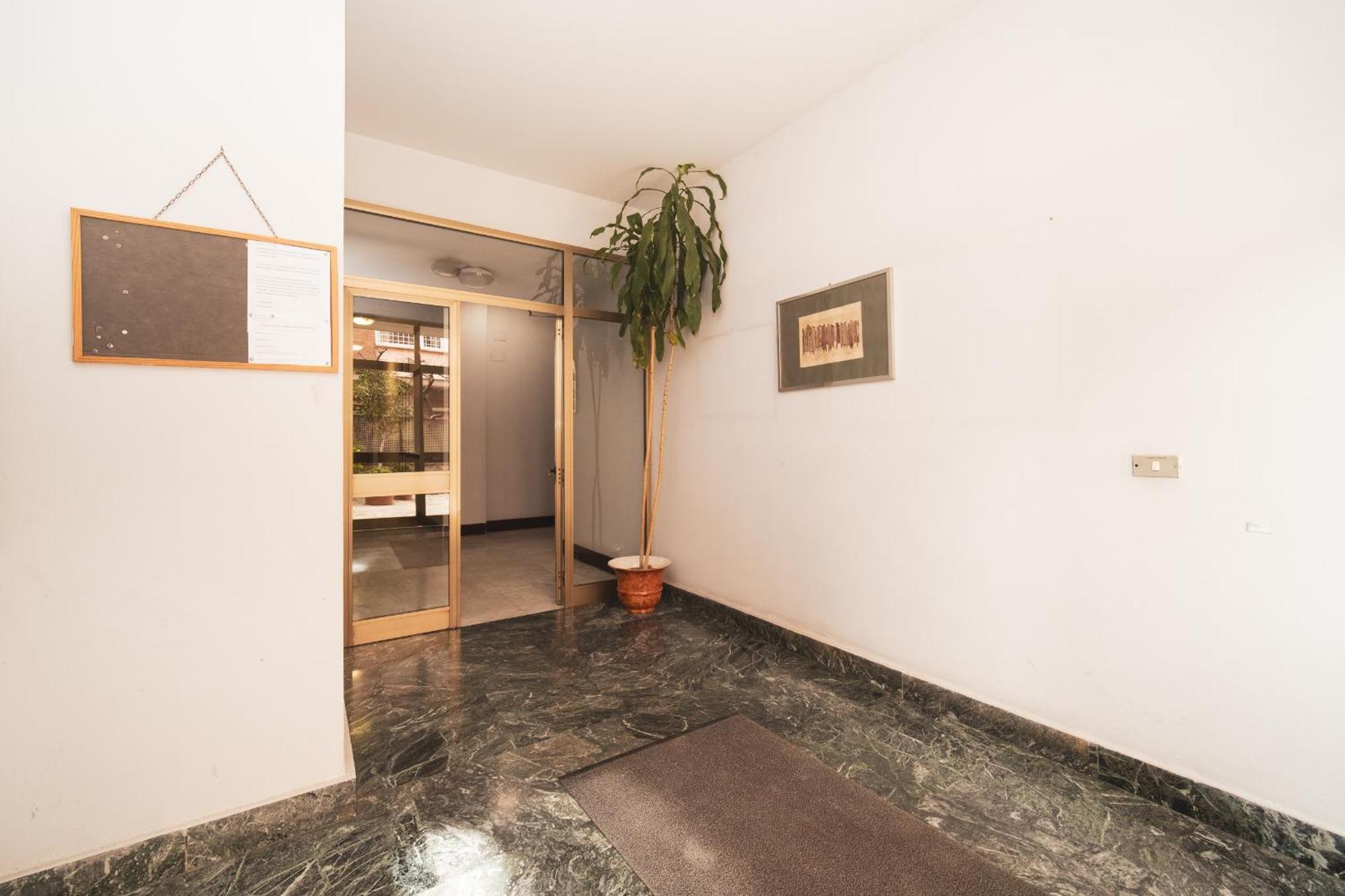 Green Hill Buddyrent'S Roma Esterno foto